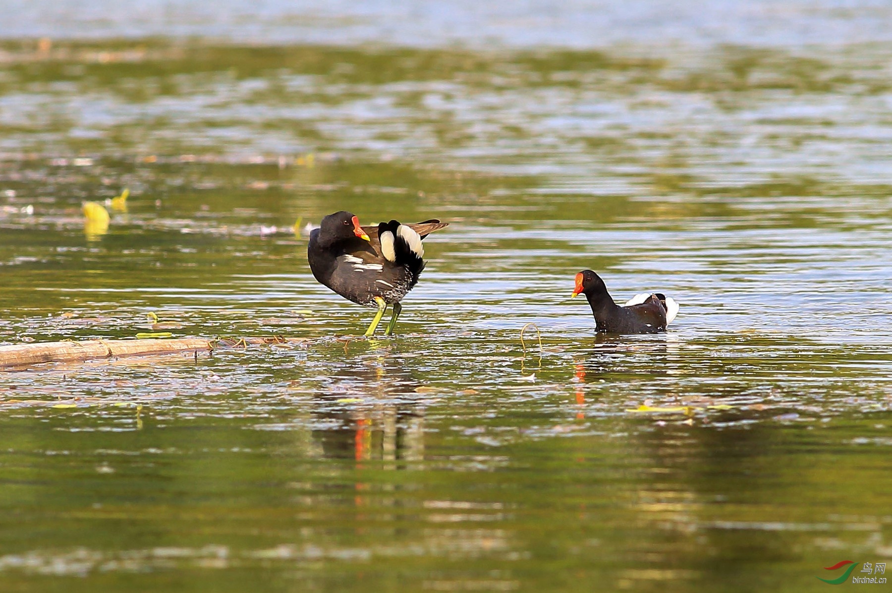 2020-03-10 14-54-22.JPG