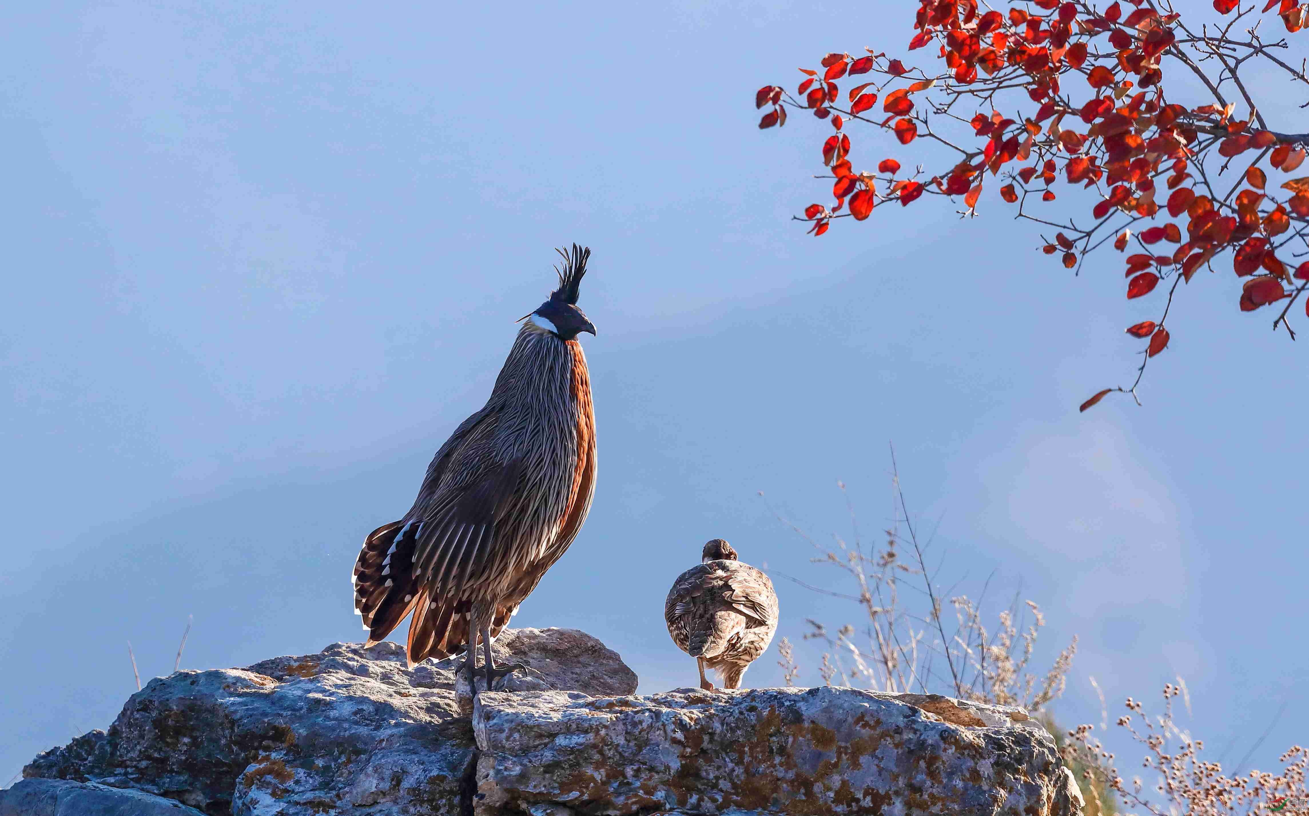 B39I6136 ����.jpg