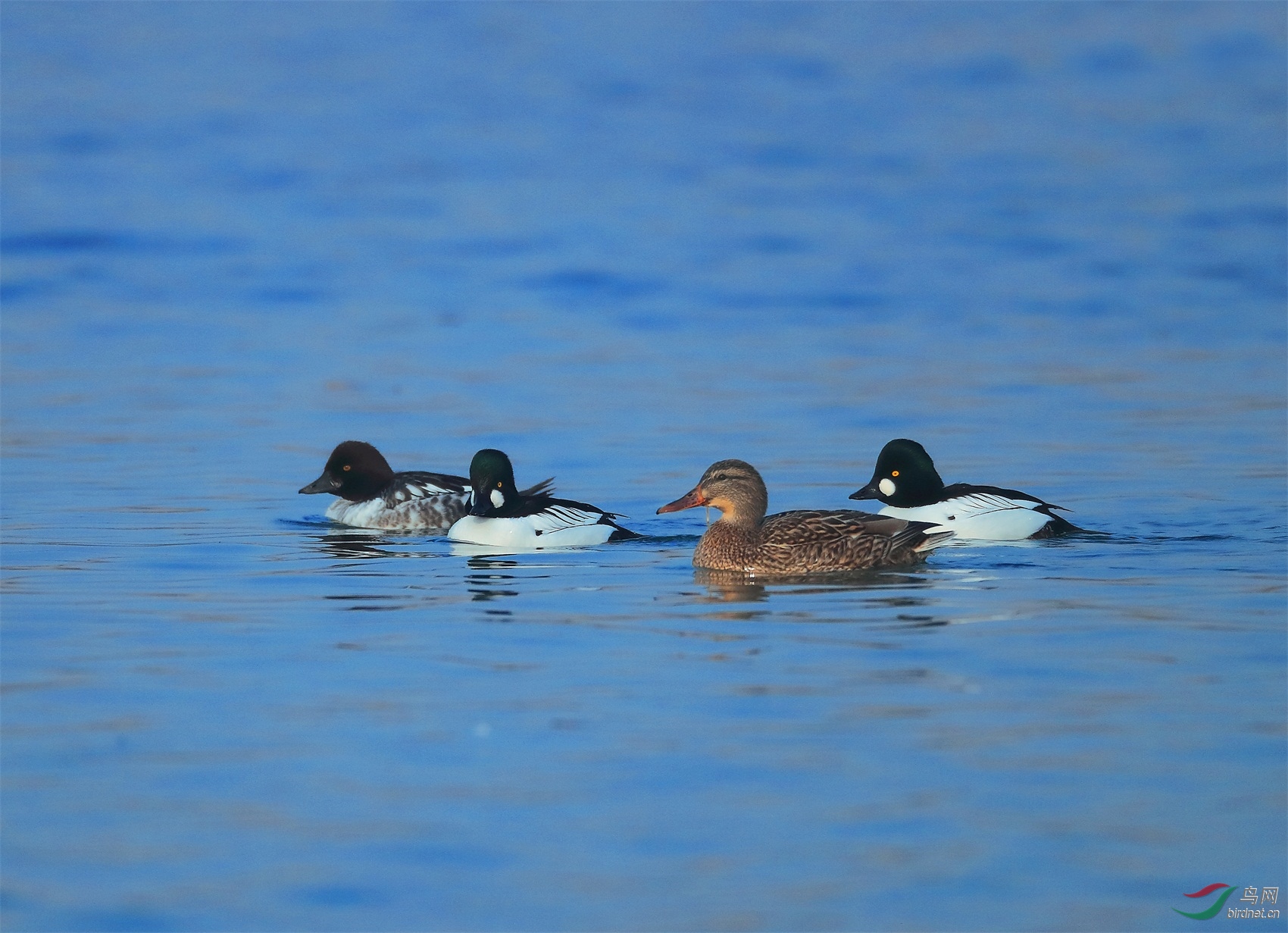 2 - ����.JPG