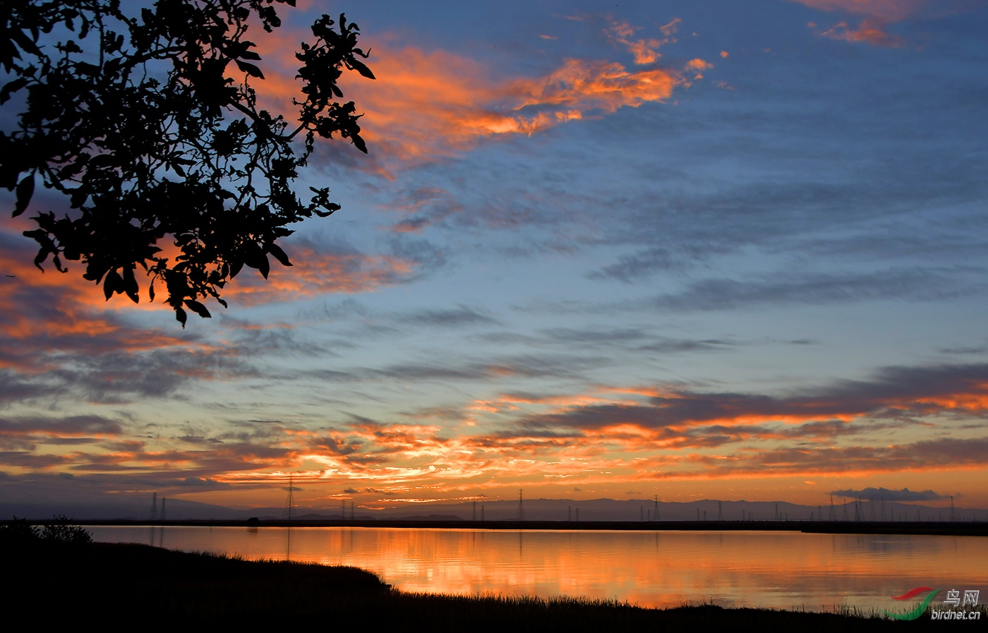 DSC_7497a2.jpg