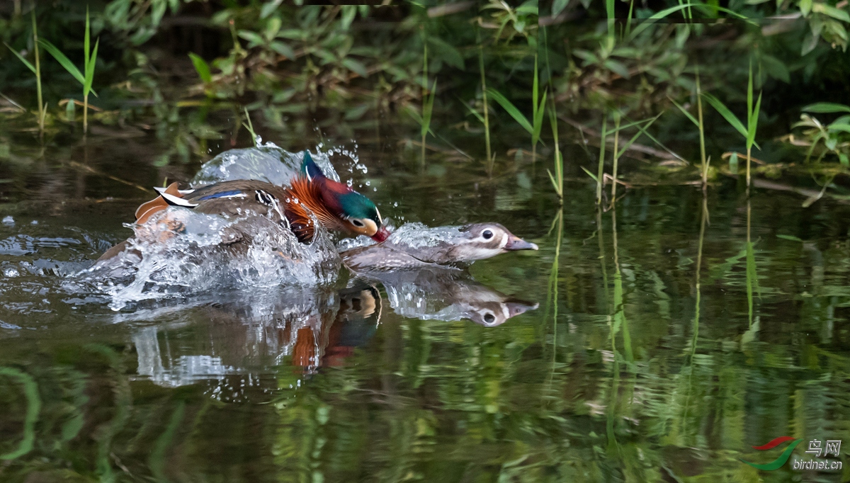 DSC_8673.jpg