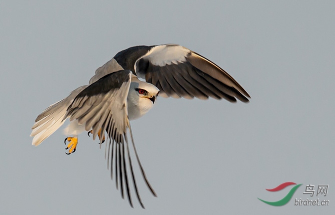 DSC_8806-0.jpg