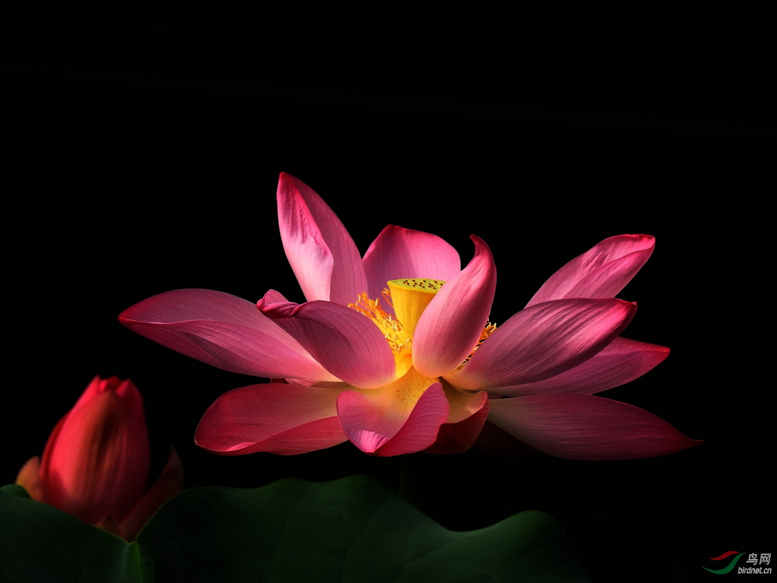 DSCN4463.JPG