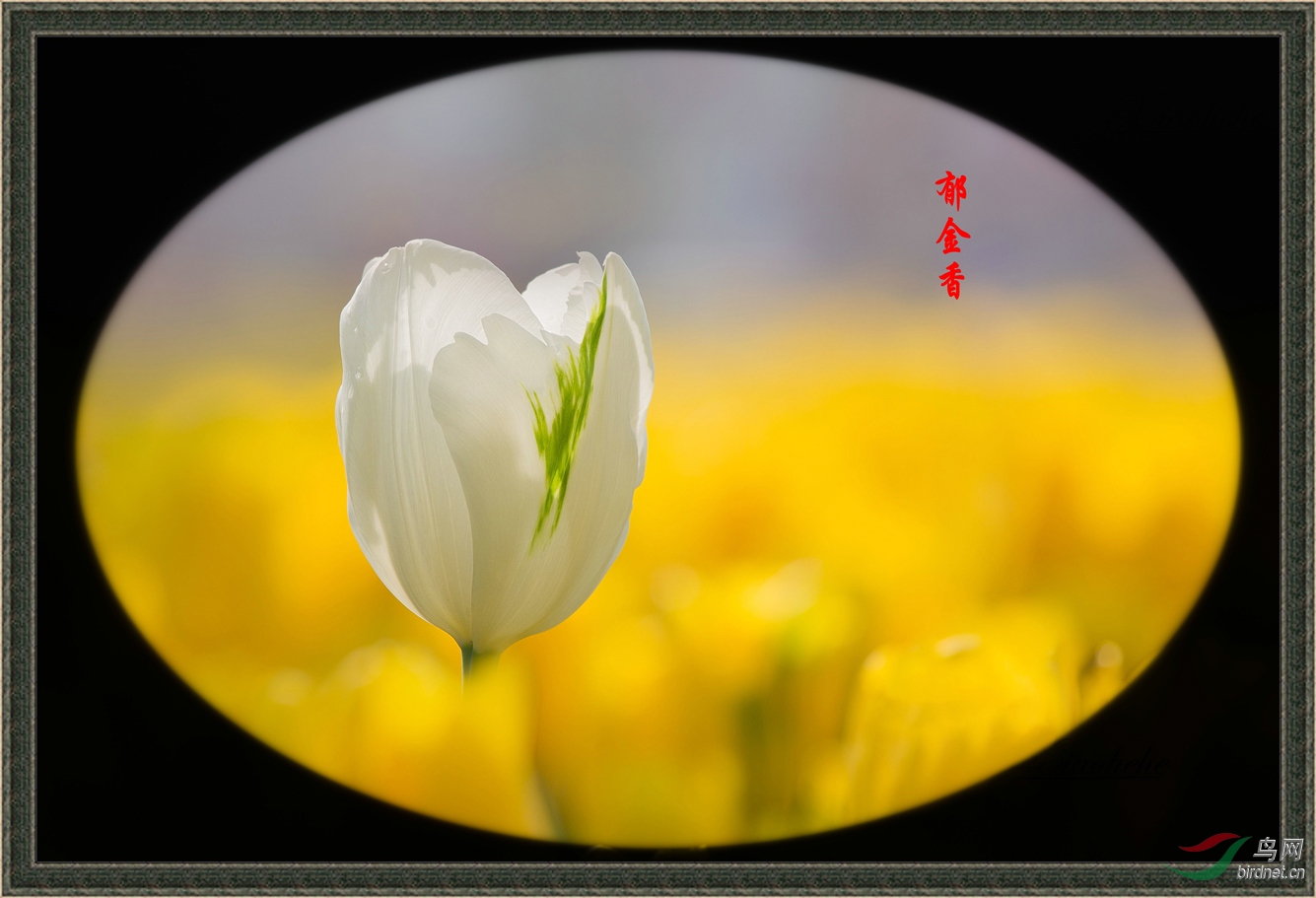 _S6A0136_����.jpg