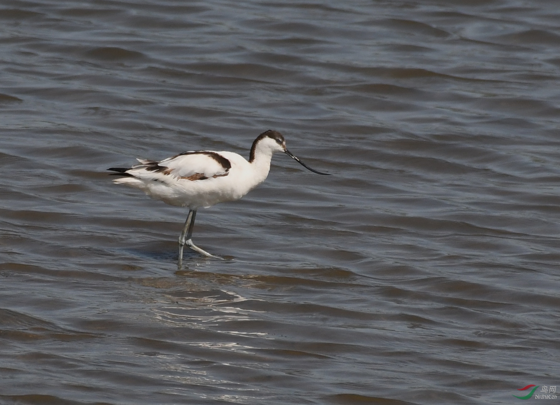 ������Ӱ 894����.jpg