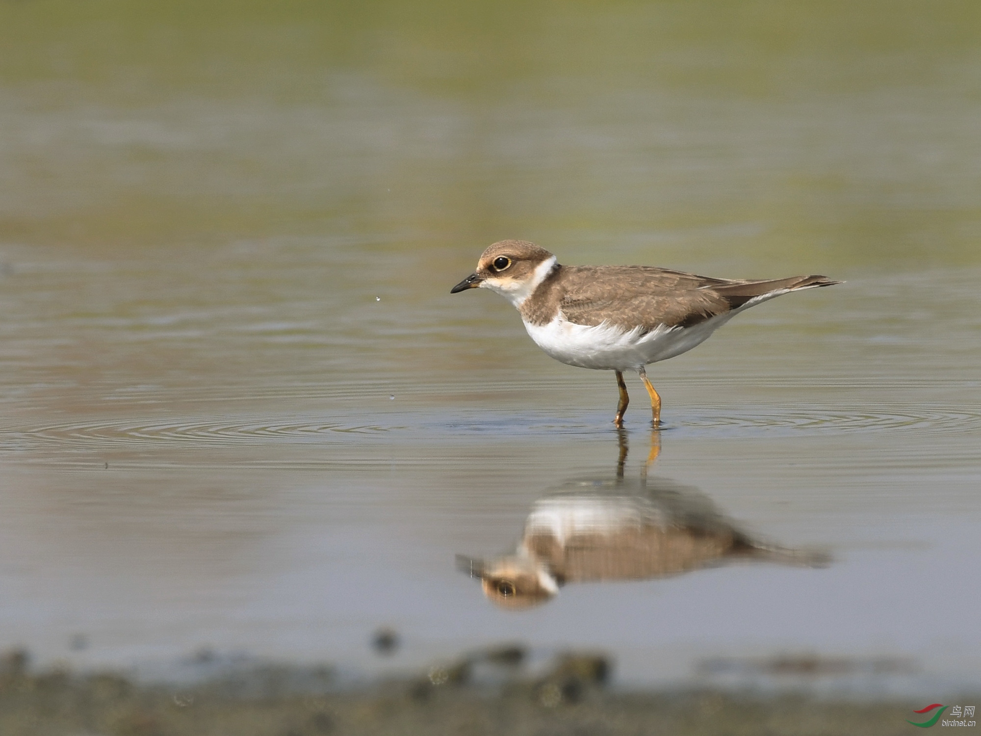 ������Ӱ 3191����.jpg