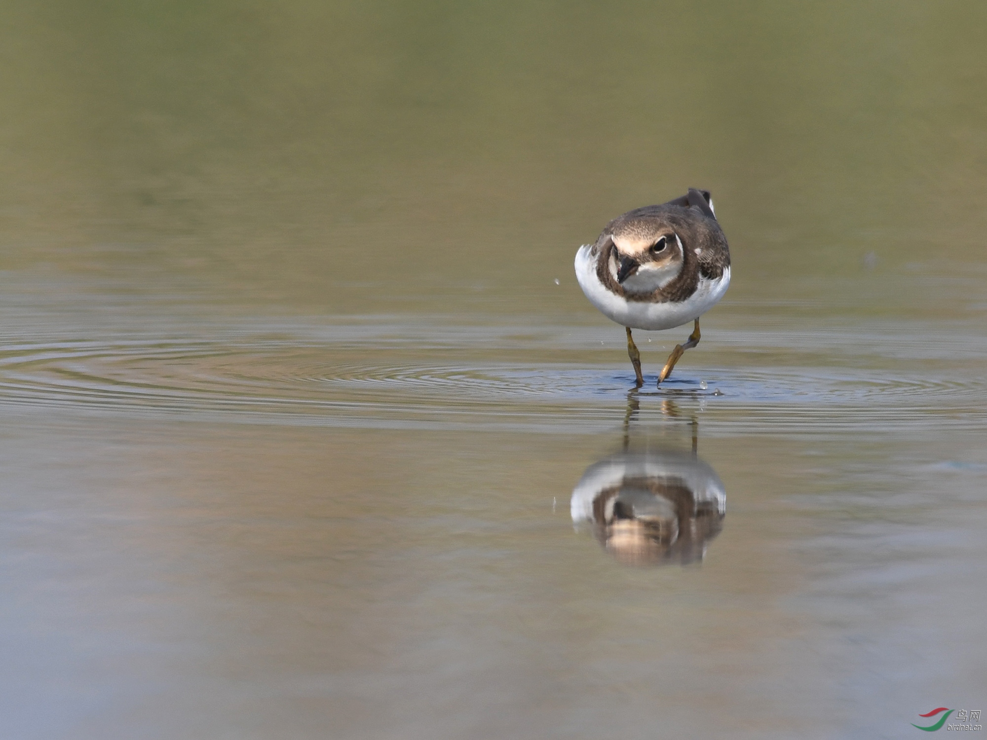 ������Ӱ 3160����.jpg