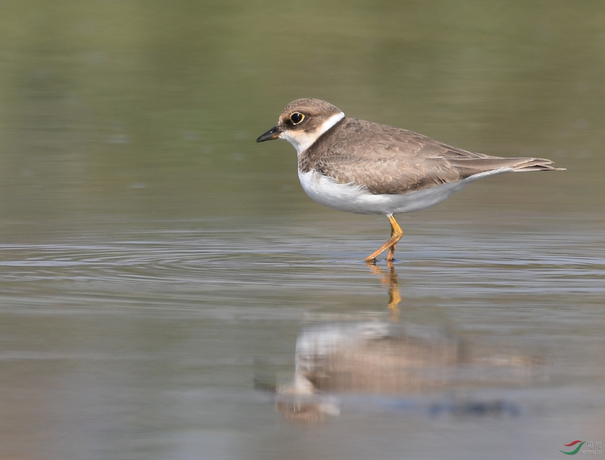 ������Ӱ 3094����.jpg