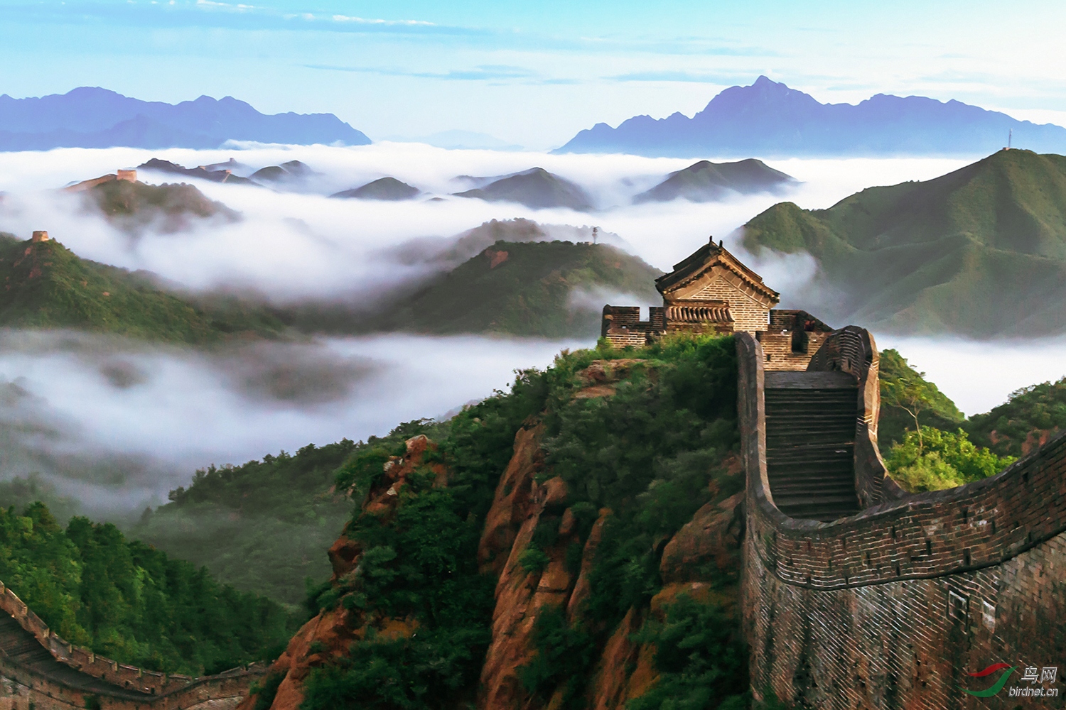 _��ľ���� ��ɽ����.jpg