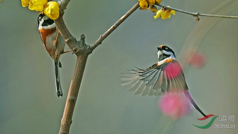 DSC03949---.jpg