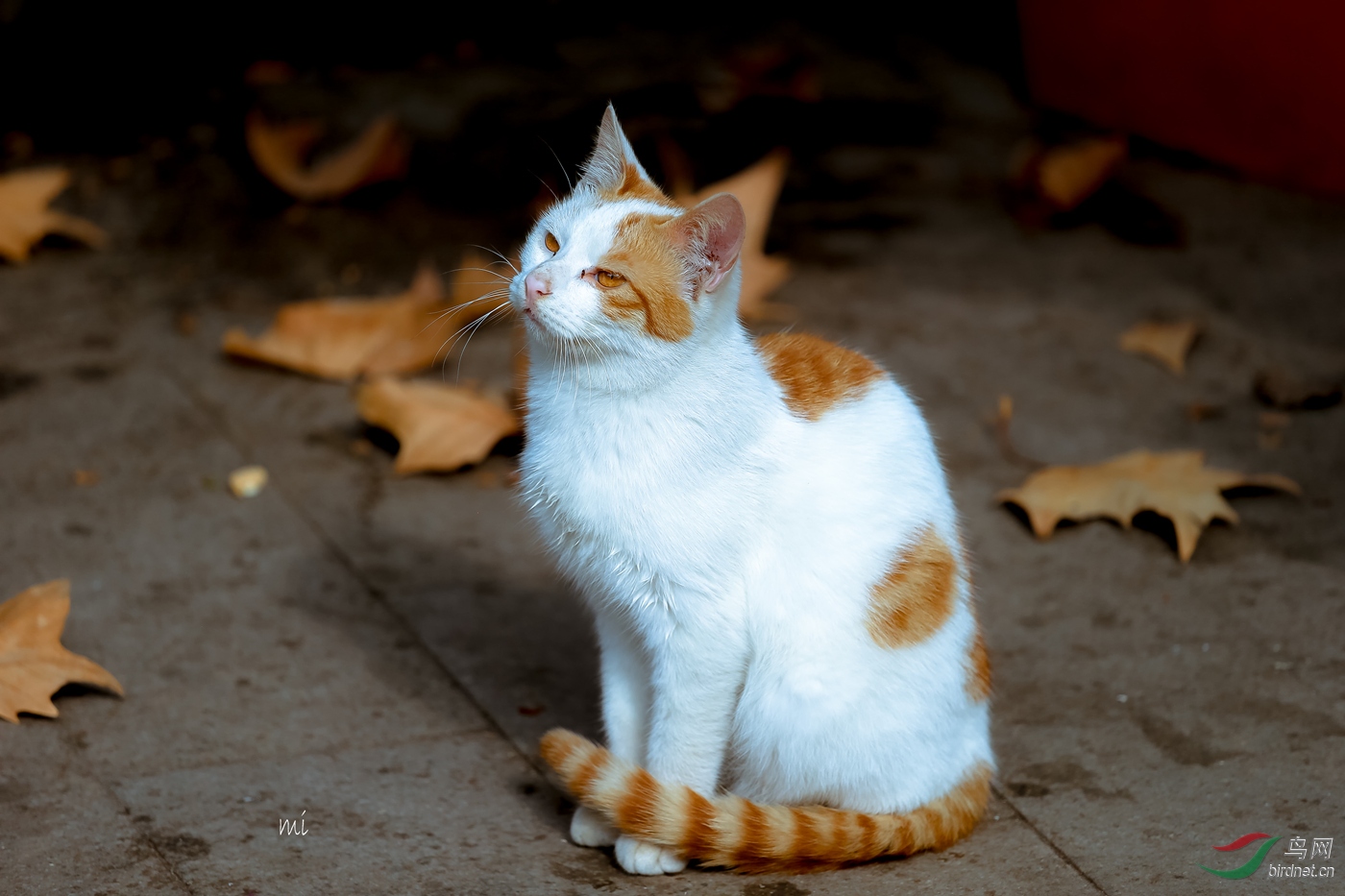 ΢��ͼƬ_202003110948303_����.jpg
