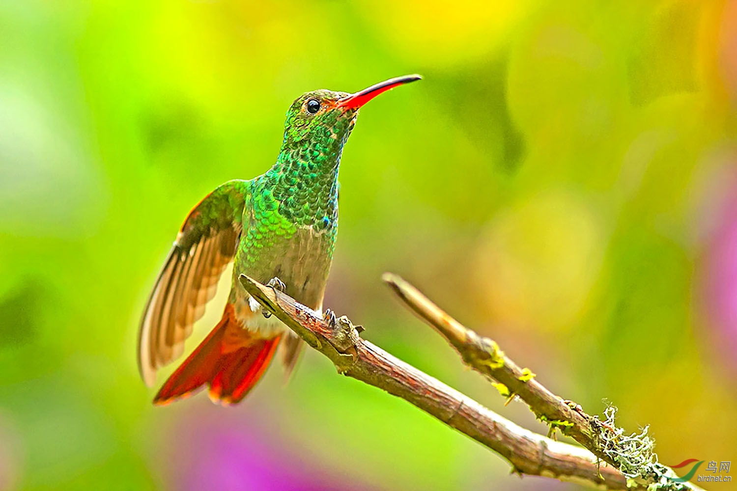 ��β����) (1).jpg