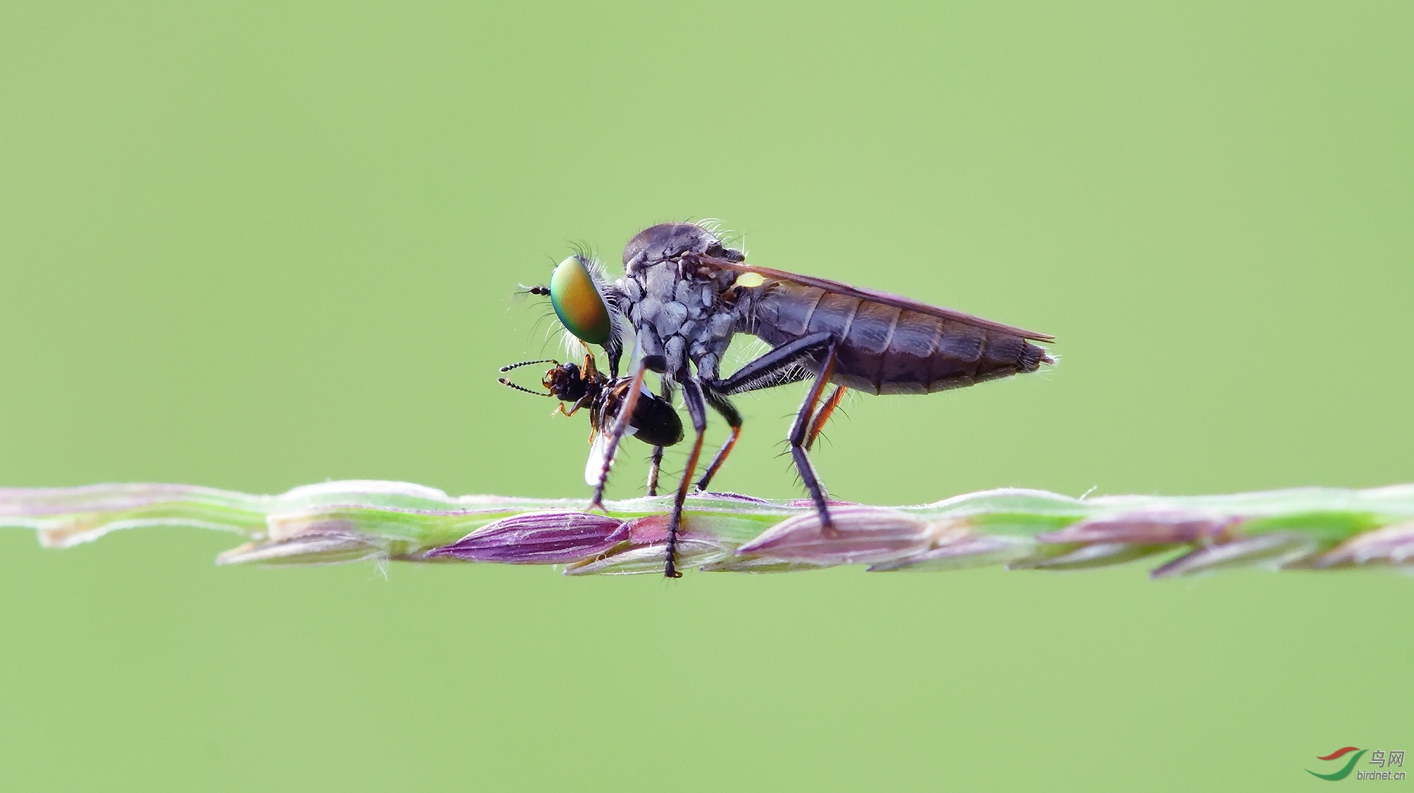 DSC_3658�ĸ���_�������� �ϴ�.jpg