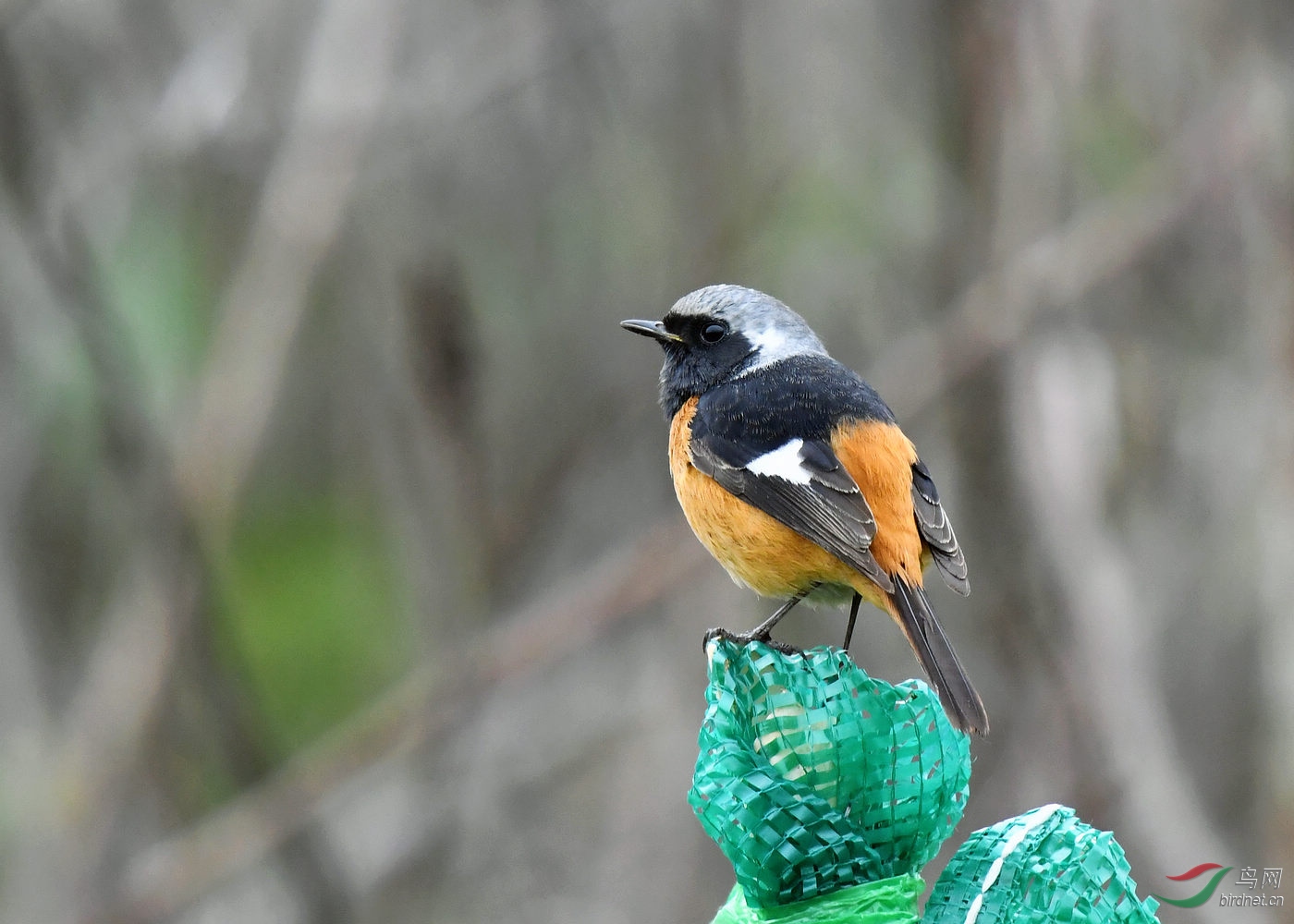 DSC_7636.jpg