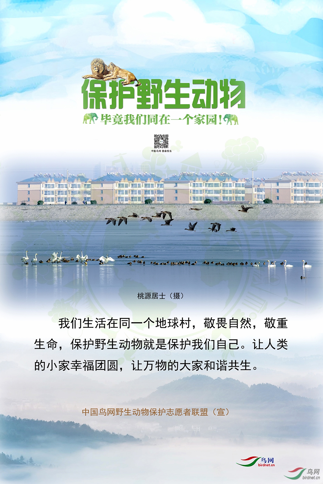 桃源居士鸟网保护野生动物宣传海报（1）.jpg