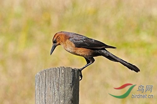 IMG_0744.JPG
