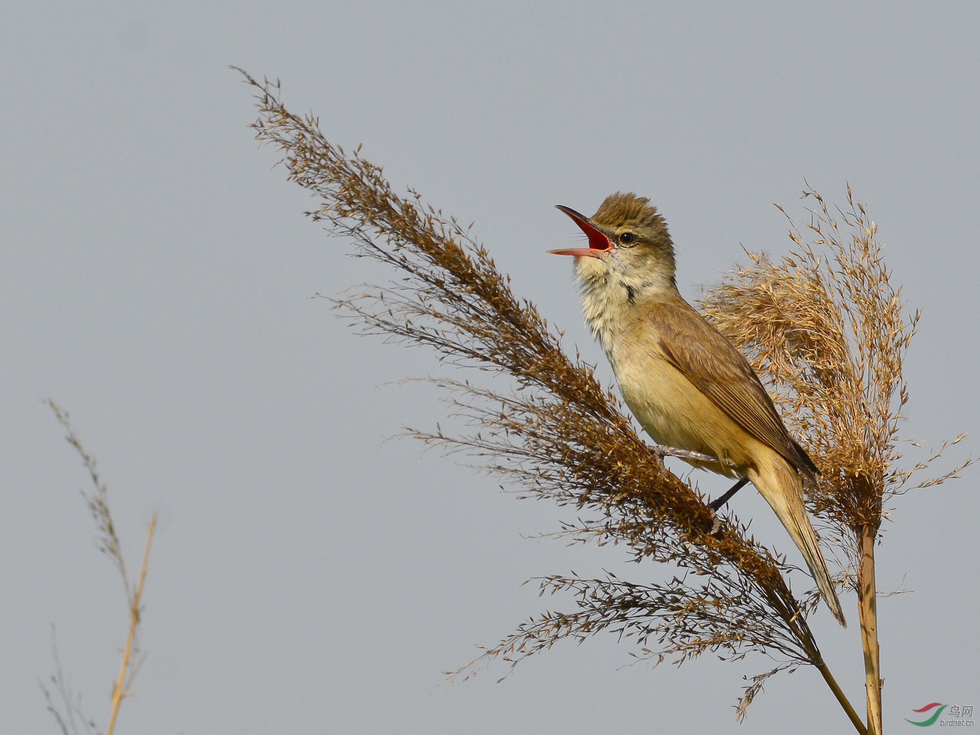 ������Ӱ 1721����.jpg