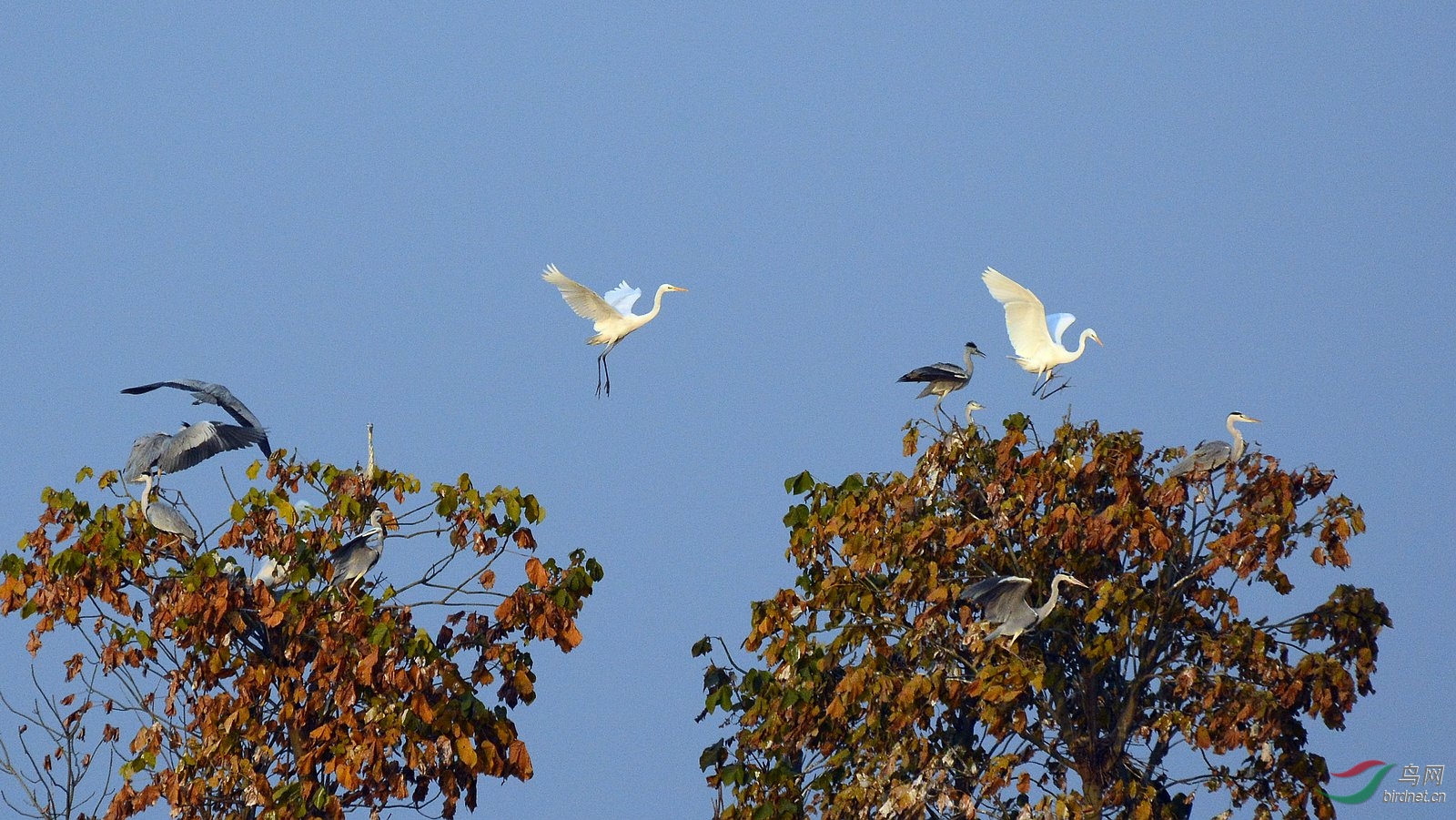 DSC_4694.JPG