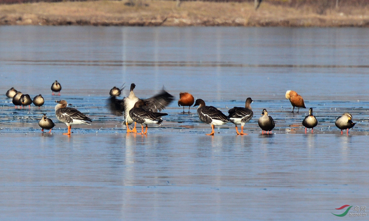 DSC_1139.JPG