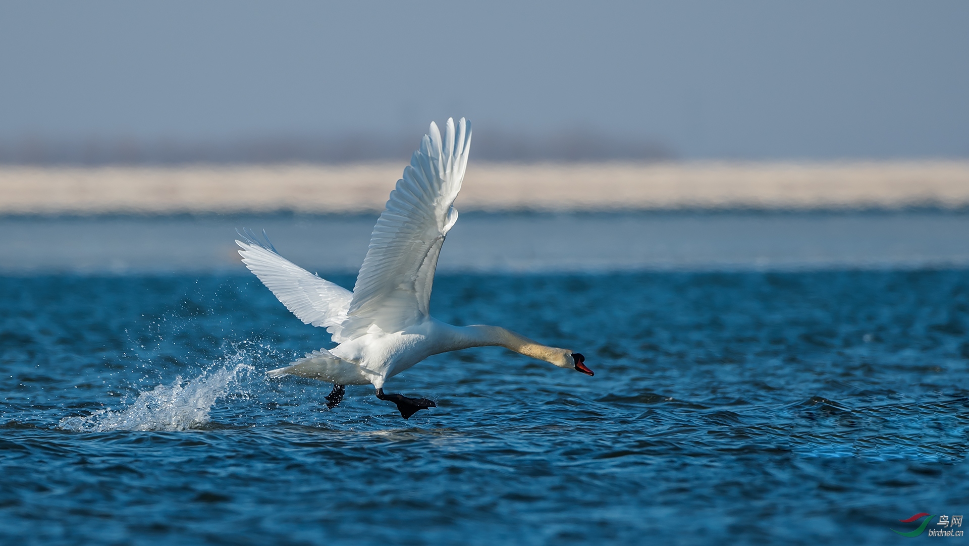 DSC_0562.jpg