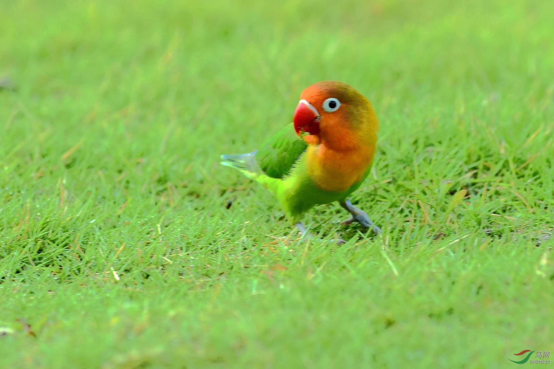 DSC_8079_����.jpg