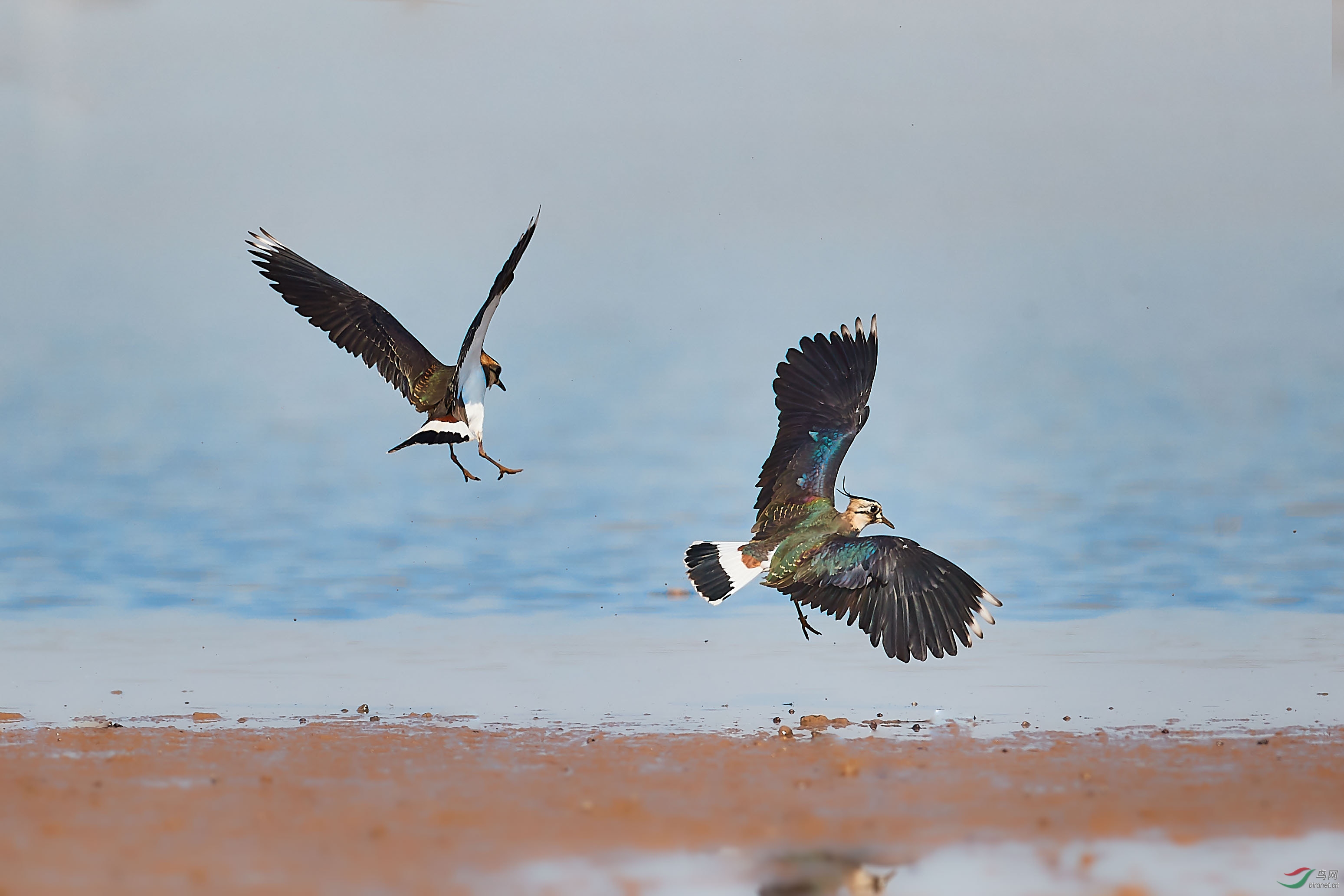 A12I0763(1)_1 1 1 1.jpg