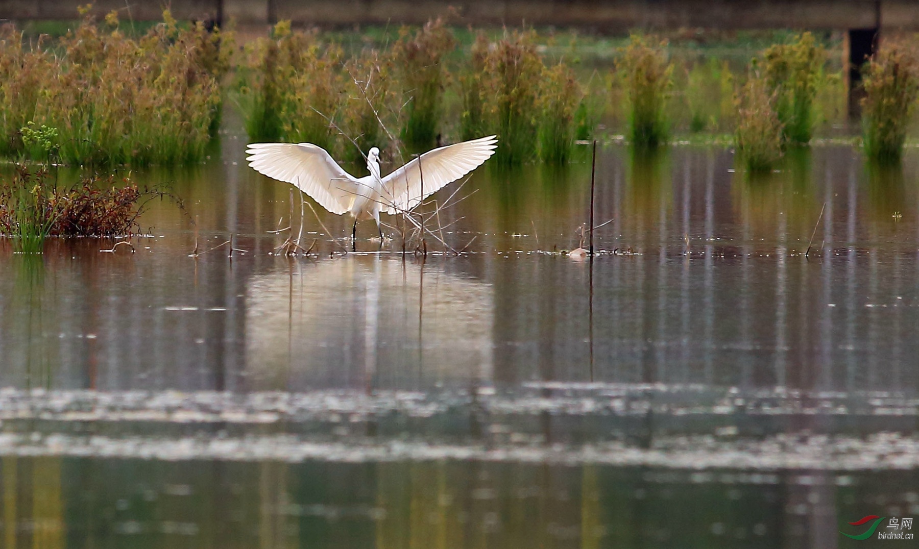 2020-03-11 07-33-43 (3).JPG