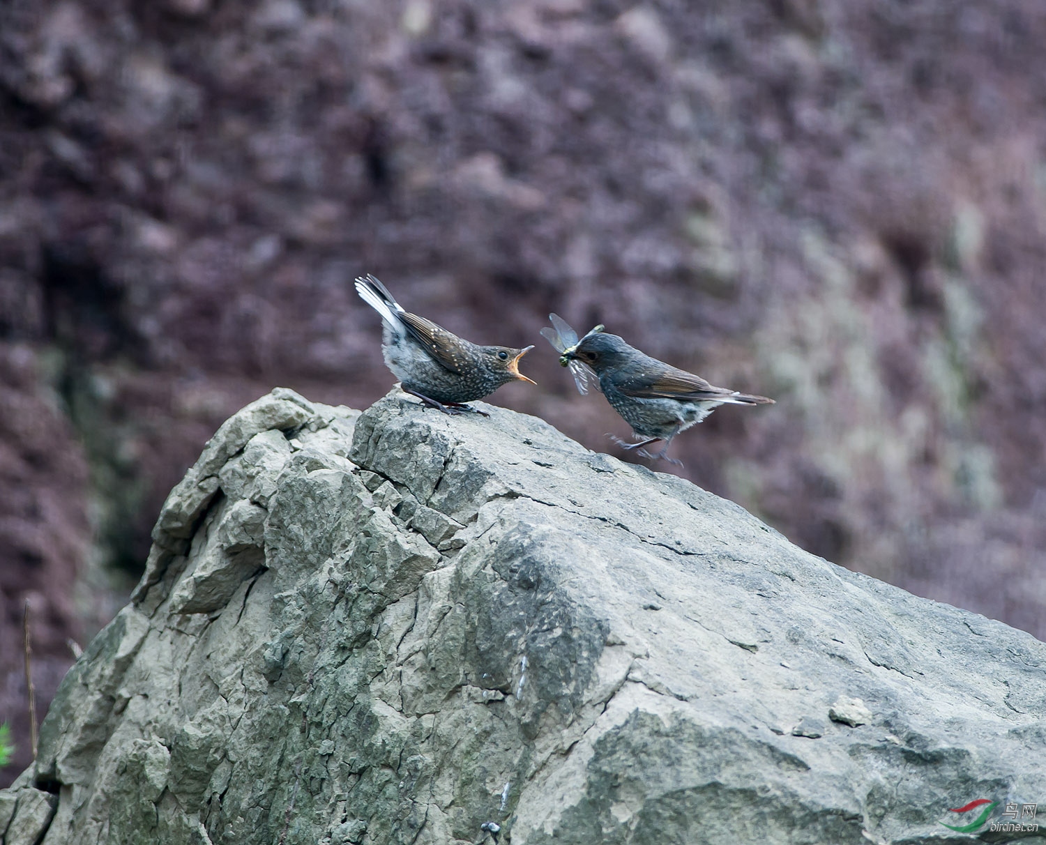 DSC_0167.jpg