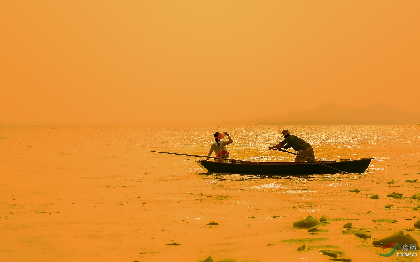 DSC_6384 - ����-1_7.jpg