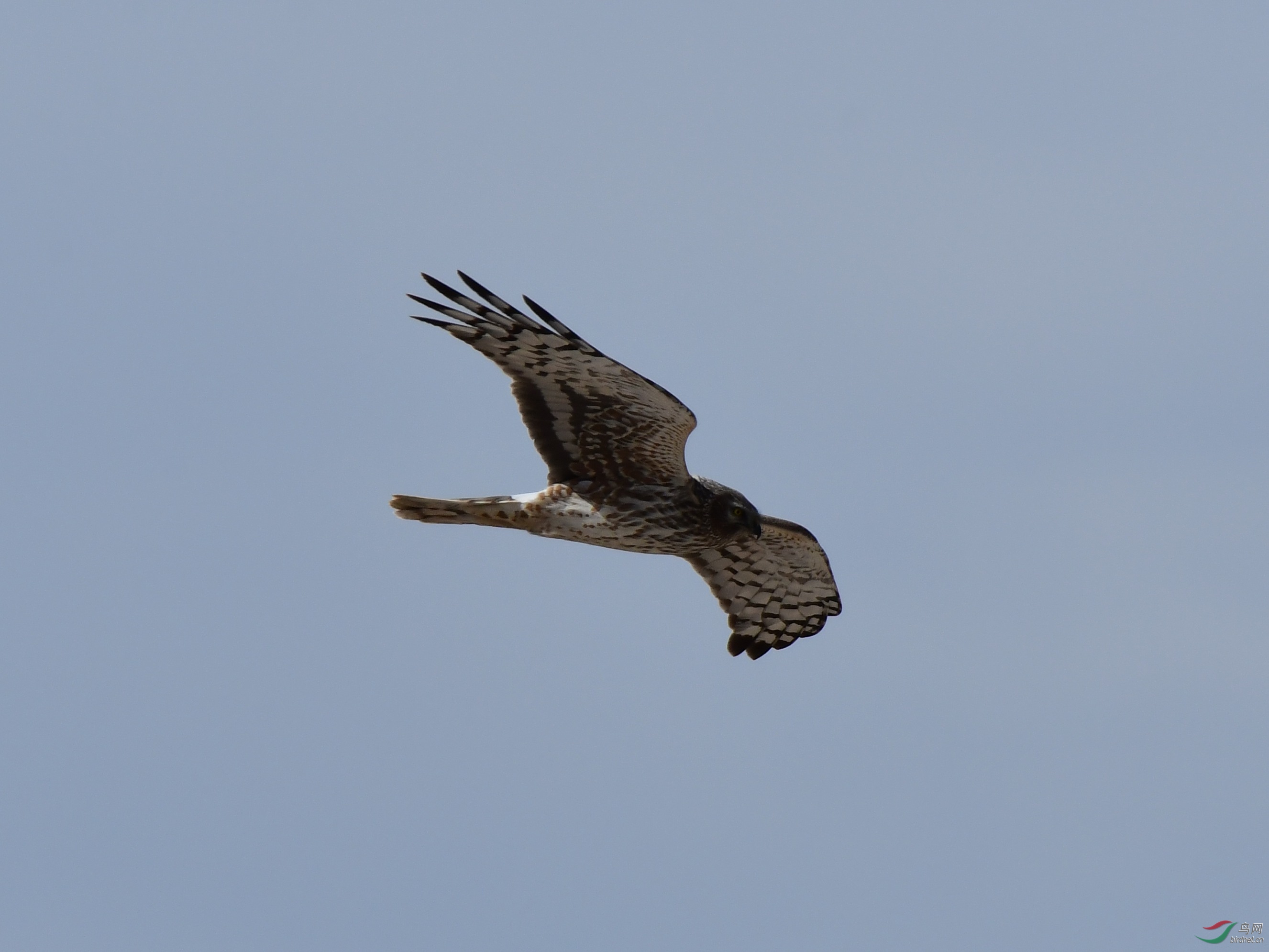 DSC_7250_副本.jpg
