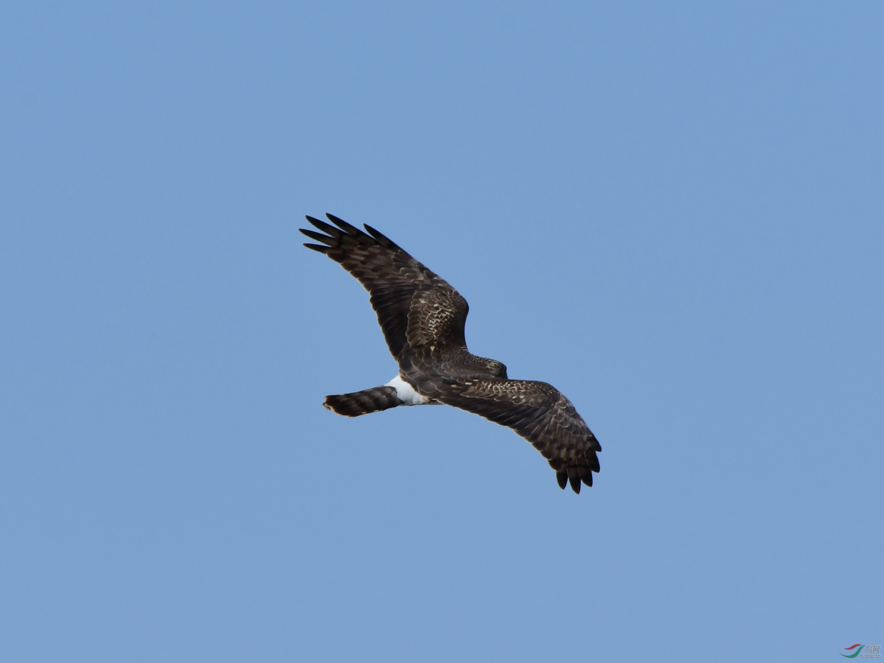 DSC_7265_副本.jpg