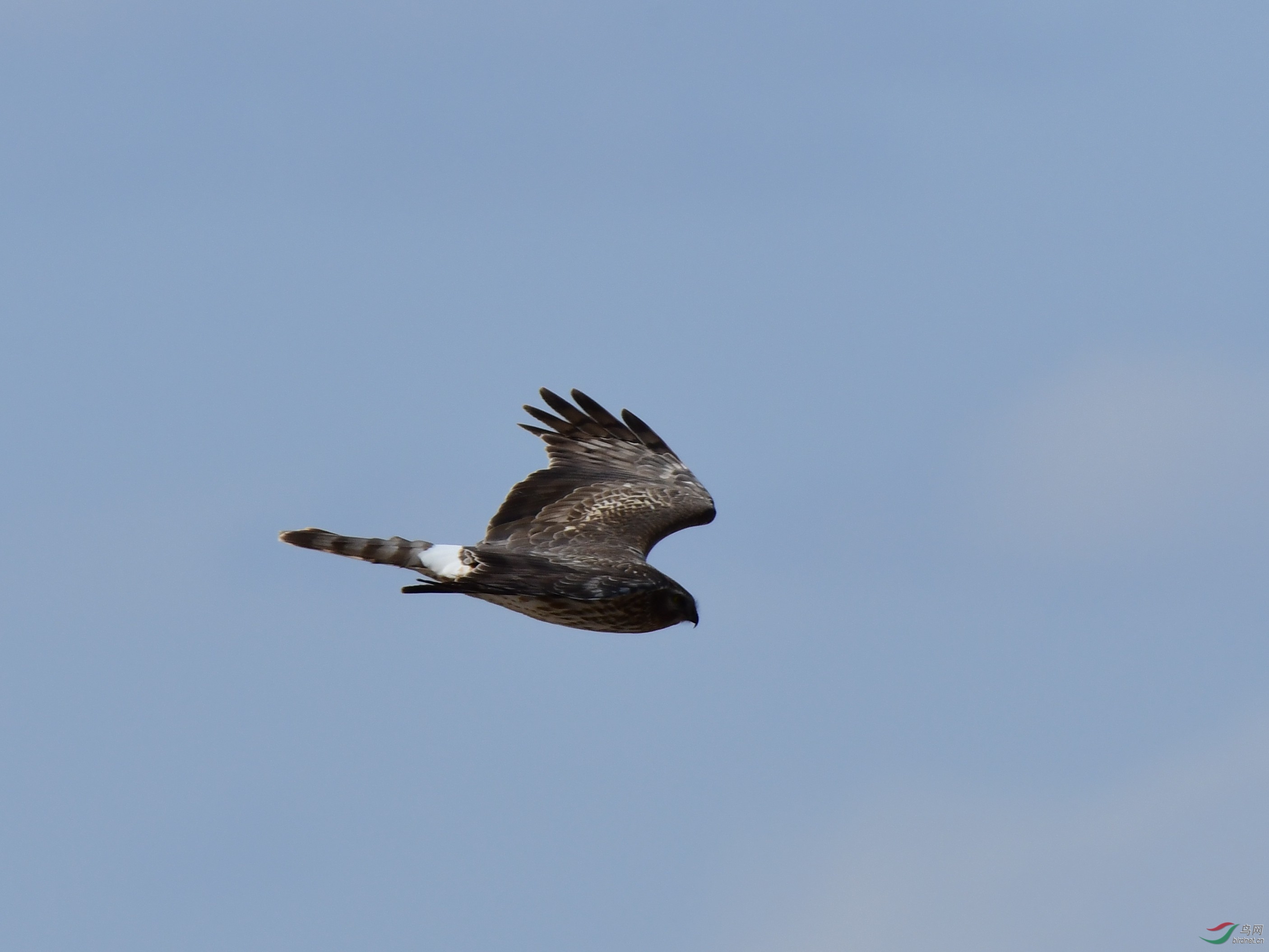 DSC_7252_副本.jpg