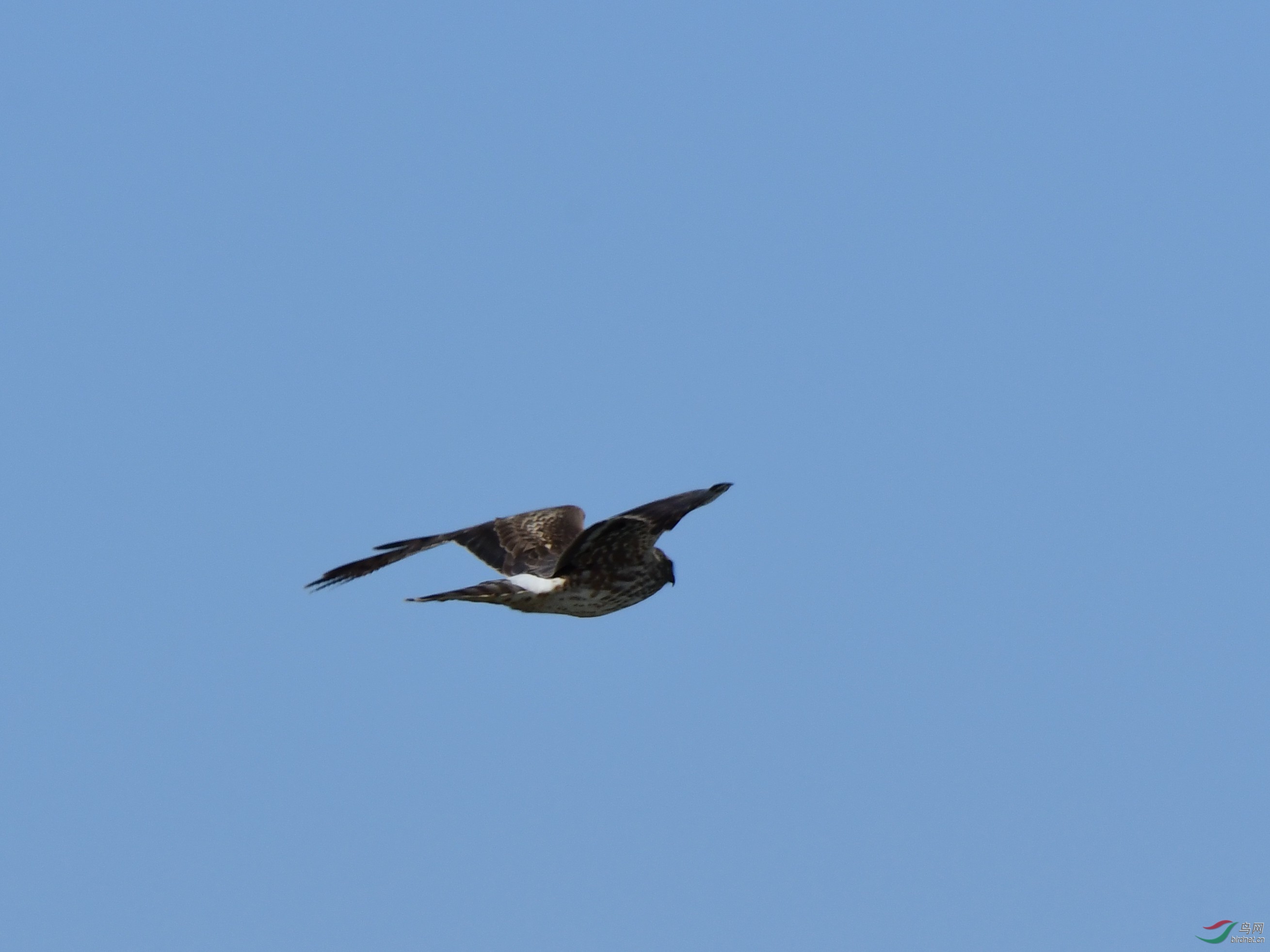 DSC_7279_副本.jpg