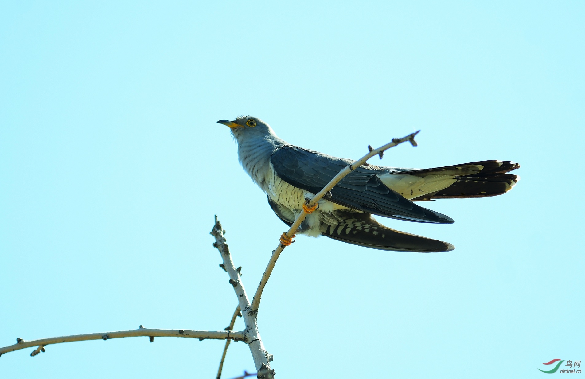 DSC_0114.JPG