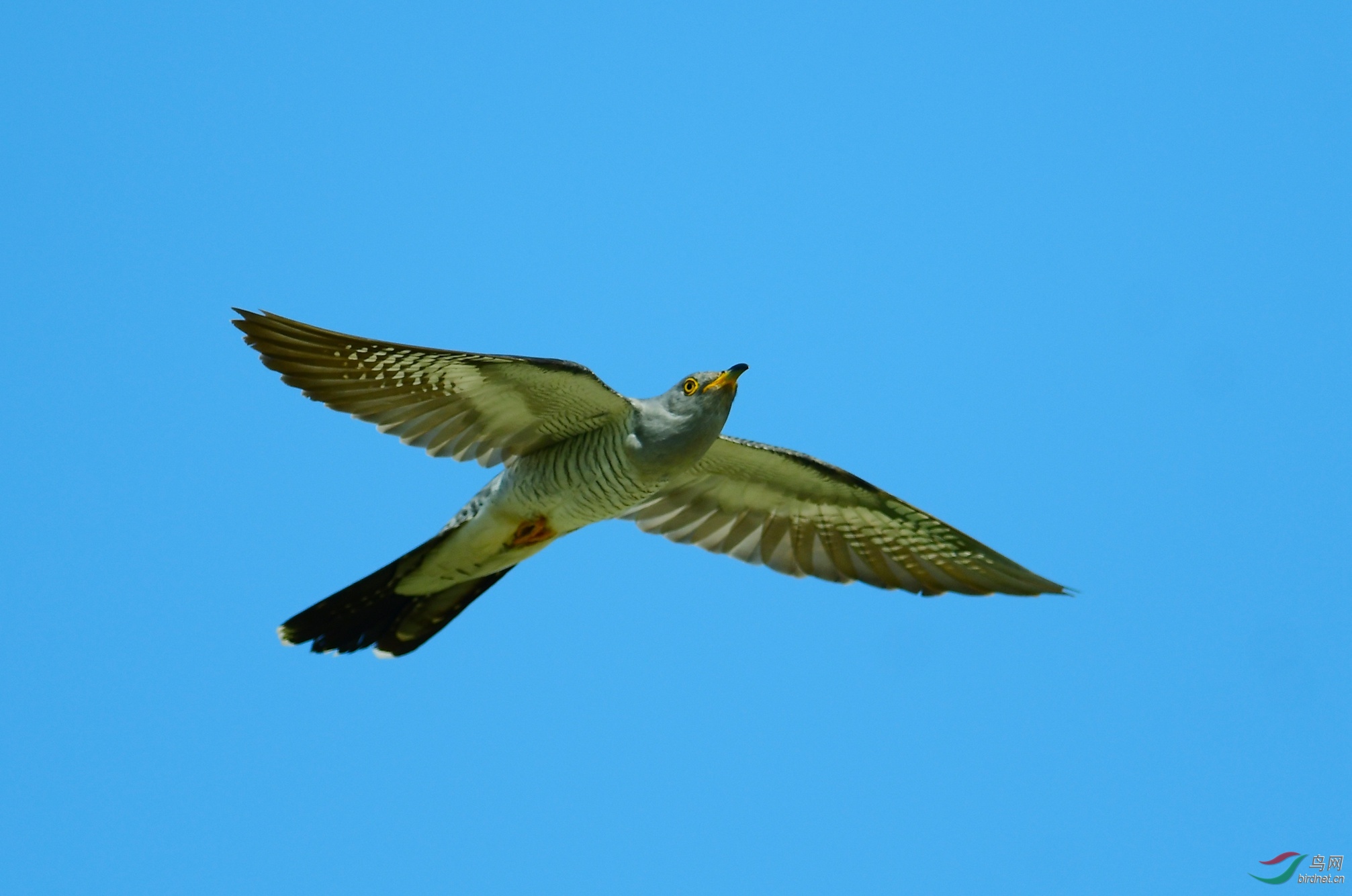 DSC_0073.JPG