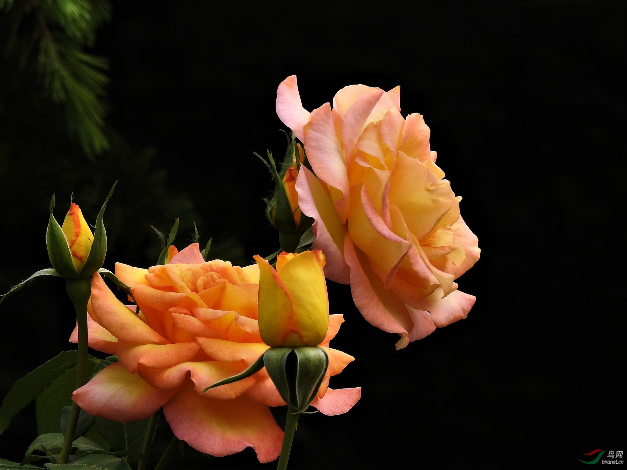 DSCN4915.JPG
