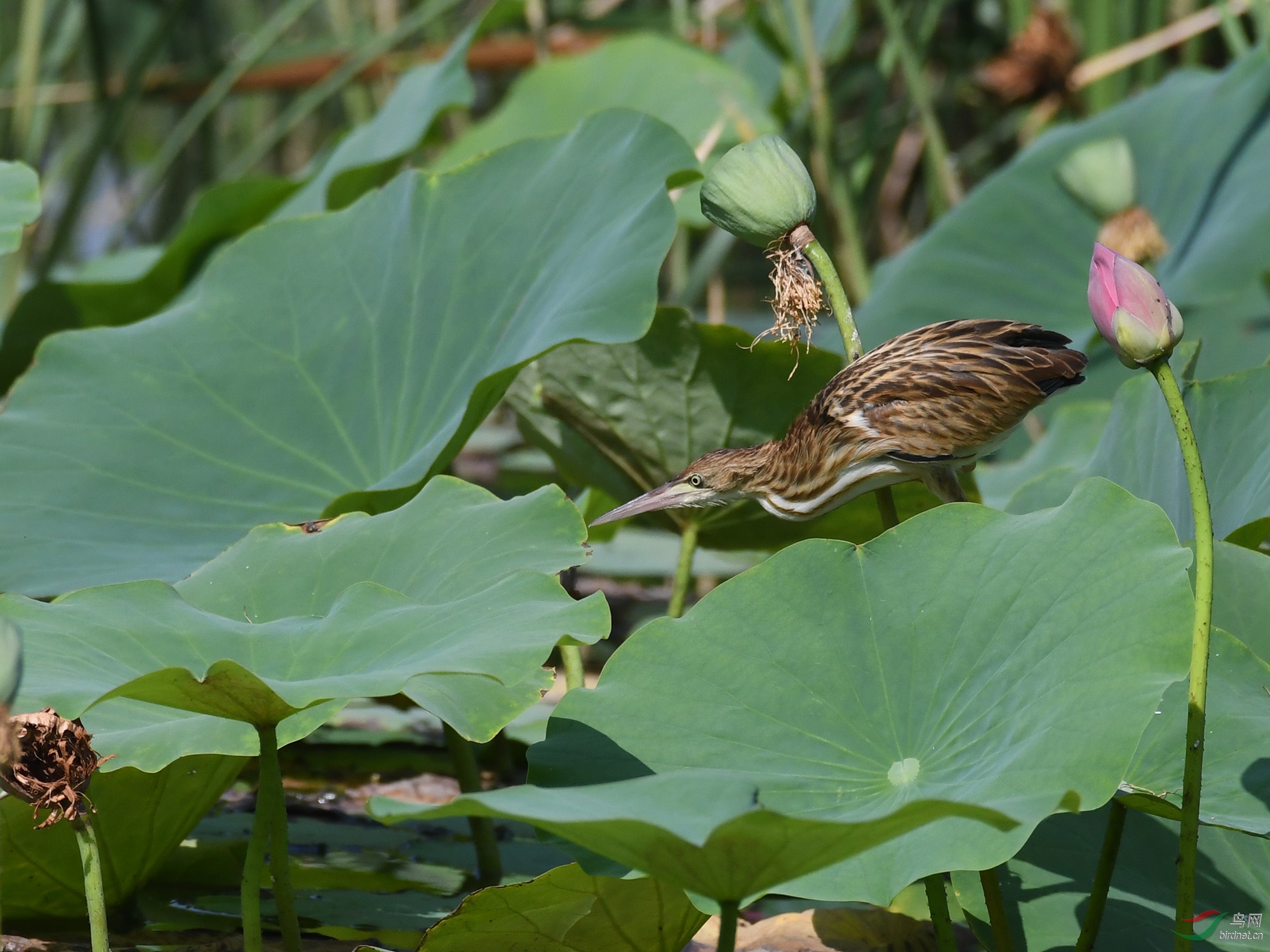 ������Ӱ 623����.jpg