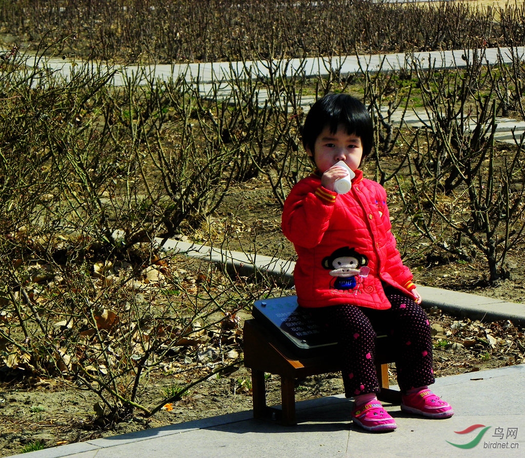 100_0006_����.jpg