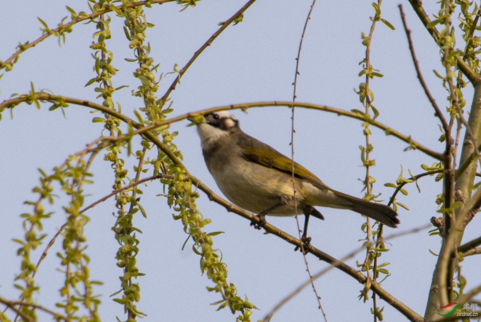 D50_7315.jpg
