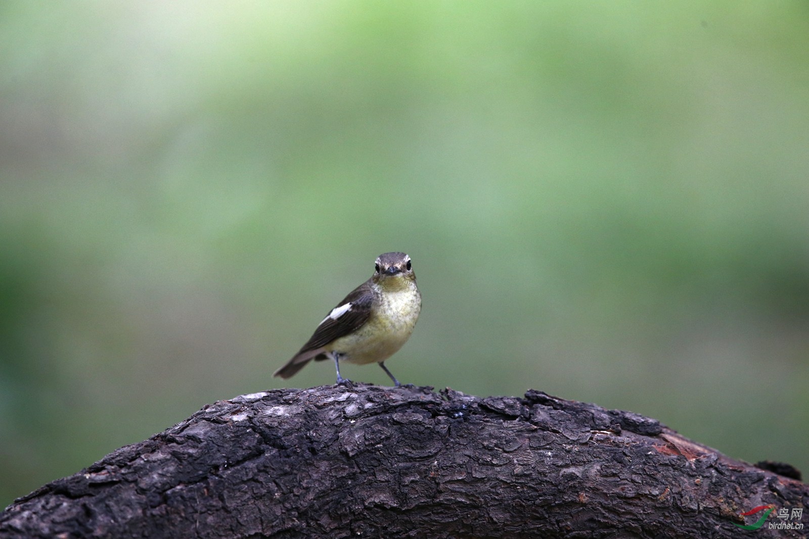 DJ4W5780.JPG