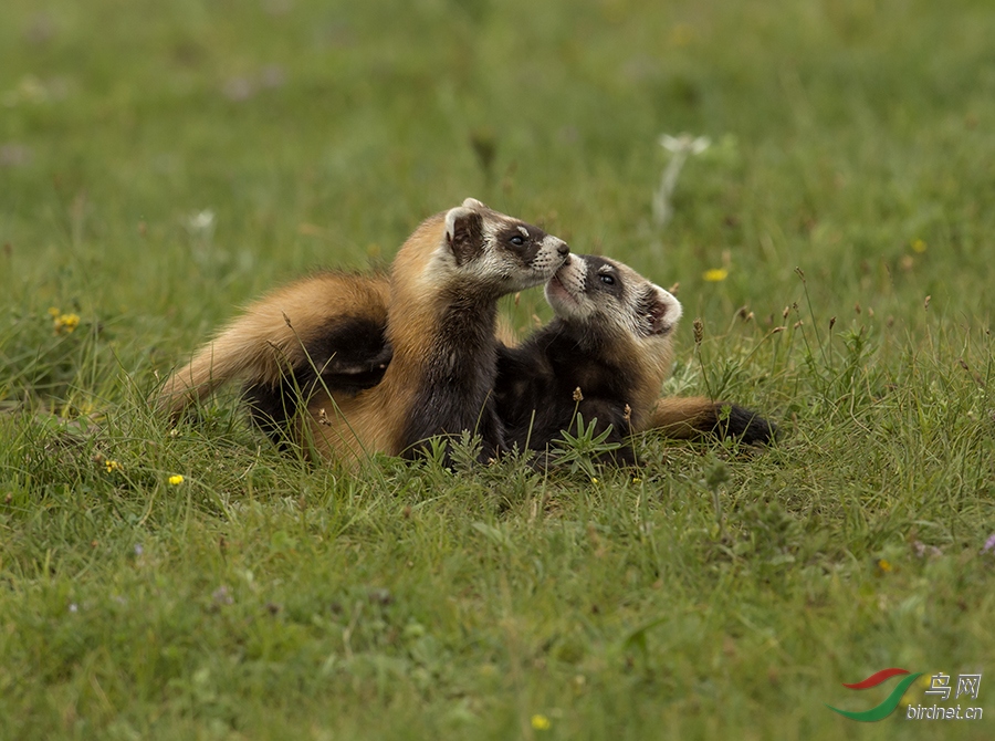 DSC_2404.jpg