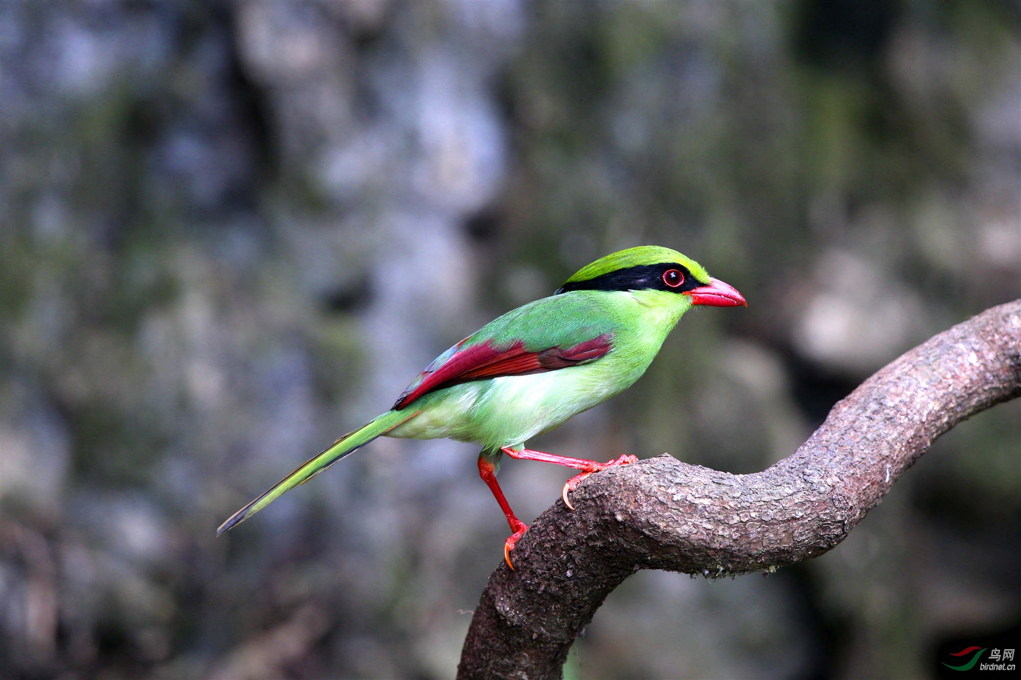 H46R7300_����_���� (2).jpg