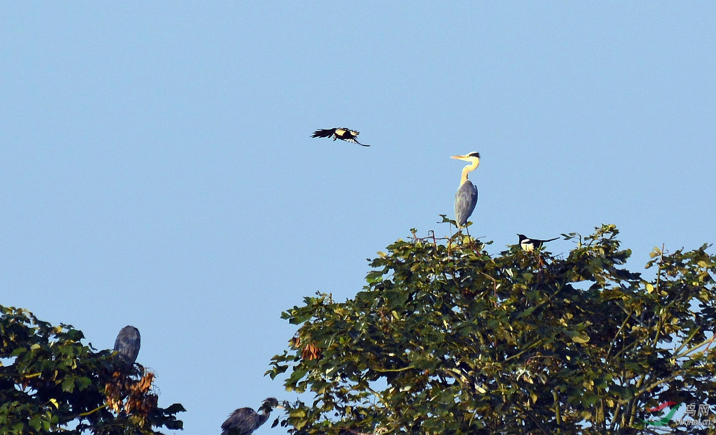 DSC_1432.JPG