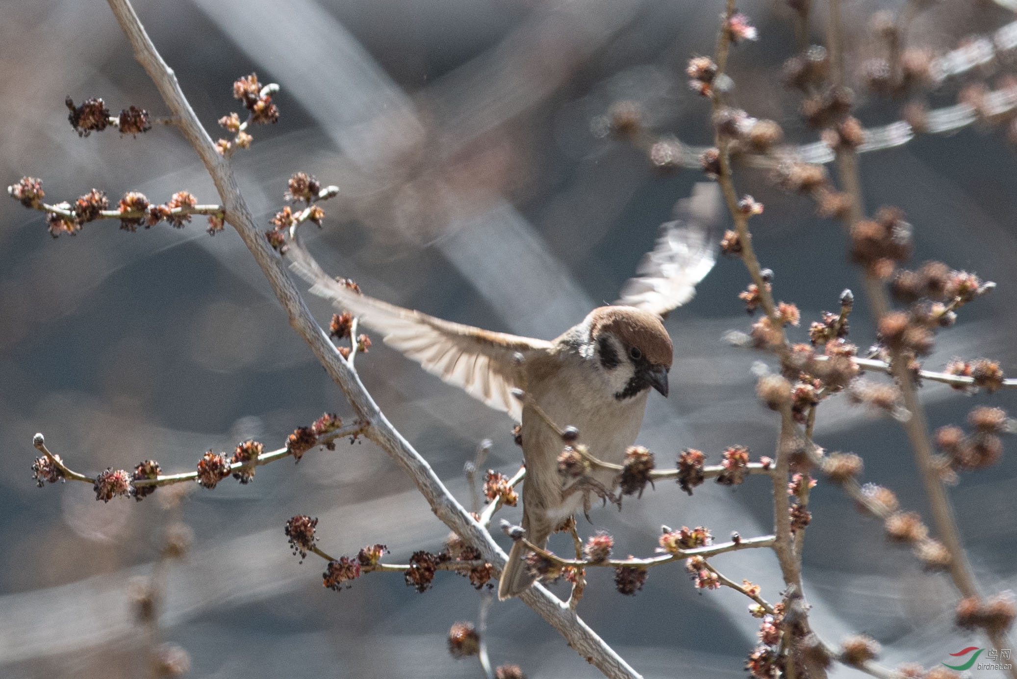 DSC_5484.jpg