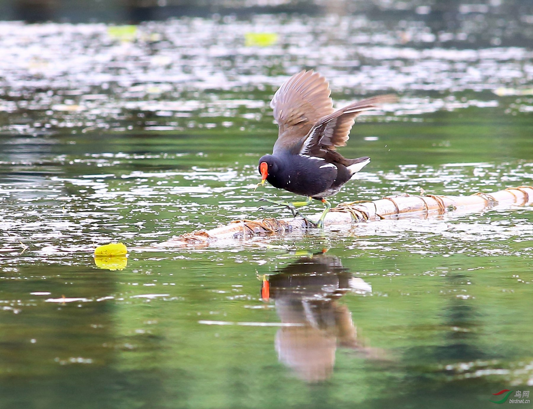 2020-03-14 11-17-19.JPG