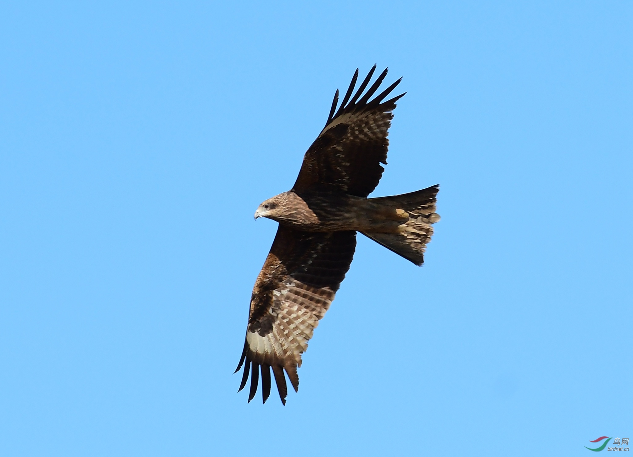 DSC_2581.JPG