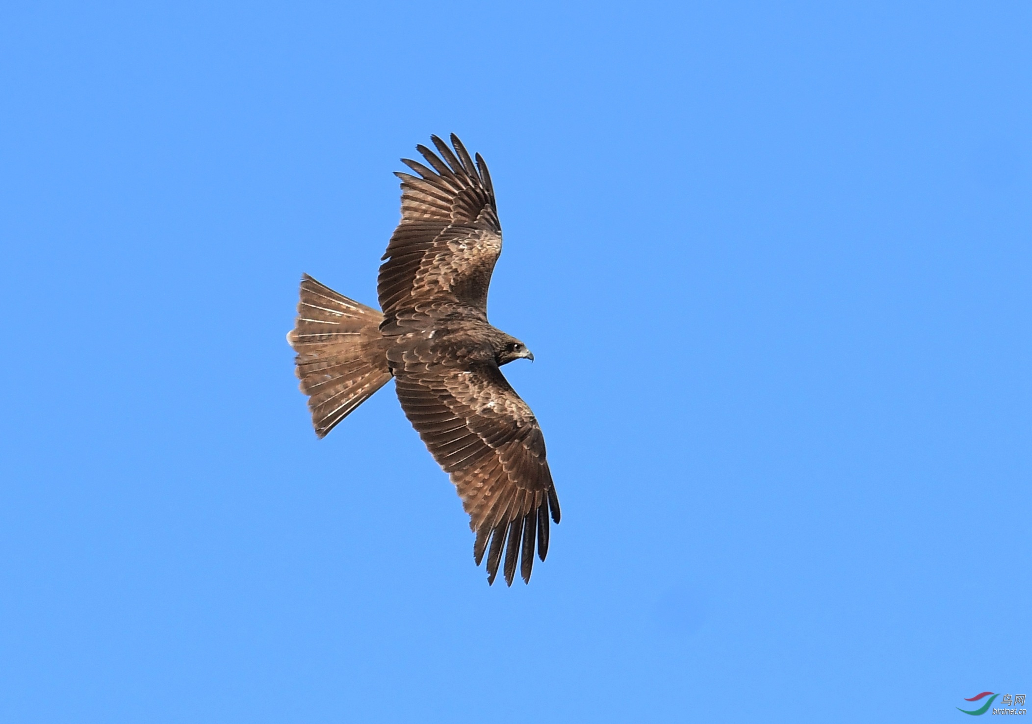 DSC_2562.JPG
