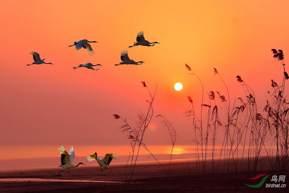 nEO_IMG_timg (8)_��ͼ - ����.jpg