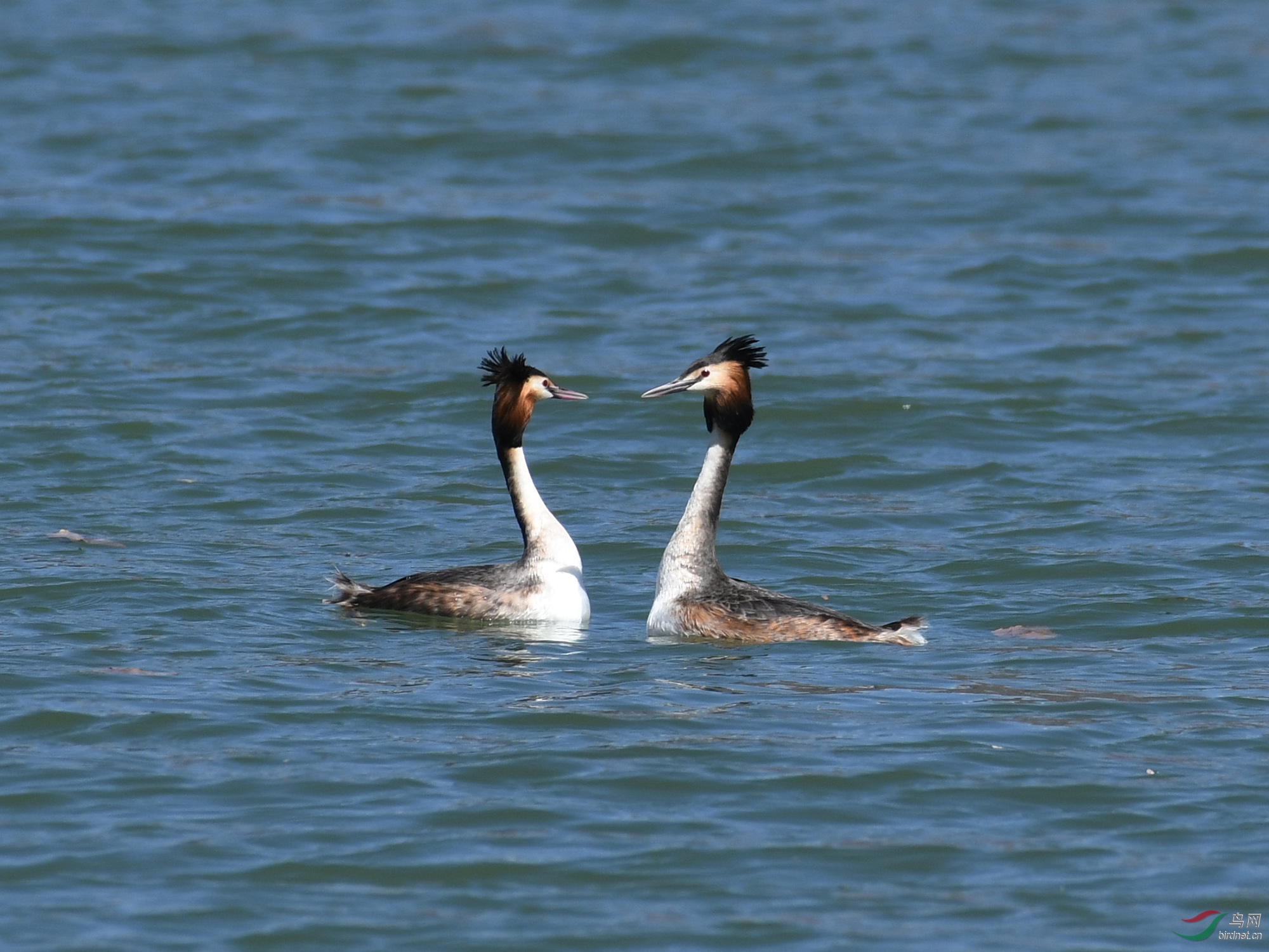 ������Ӱ 034����.jpg