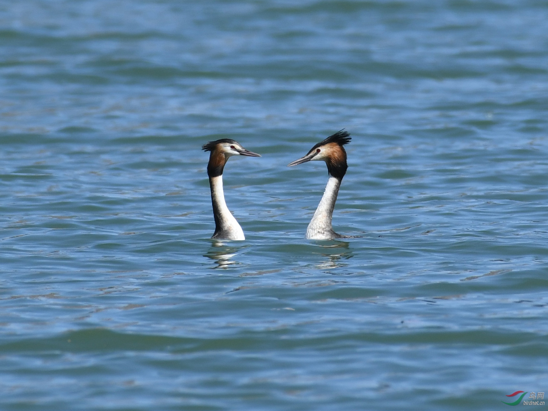 ������Ӱ 053����.jpg